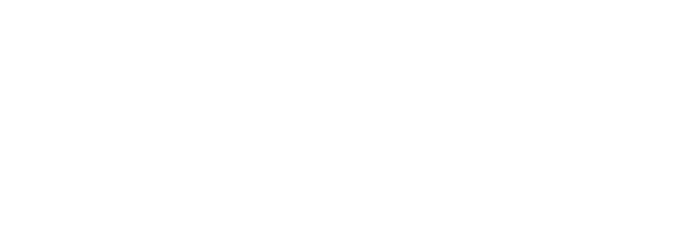 Silkin Management Group